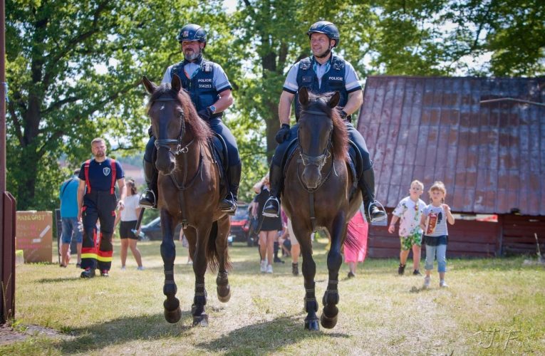 Neoprávněné čerpání humanitární dávky cizinci