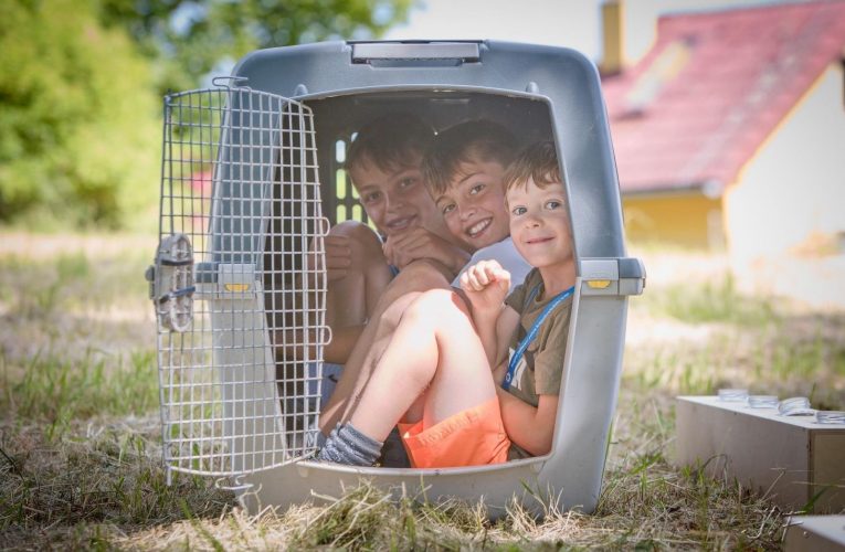 Recidivista zpět za mřížemi