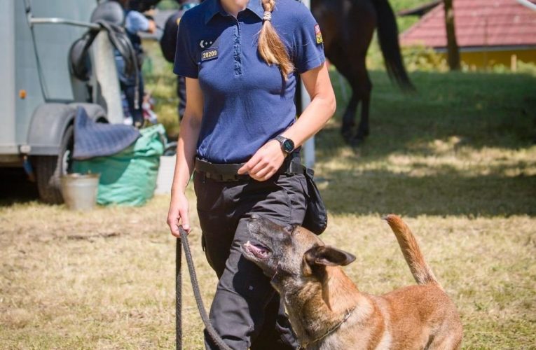 Podvodník zacílil na účet školy