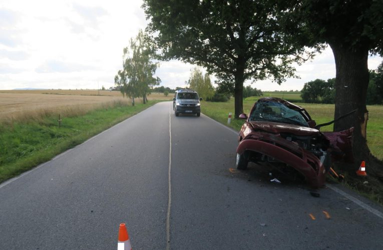 Hledáme svědky tragické dopravní nehody