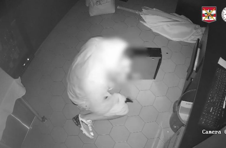 Hlídala venku, zatímco uvnitř kradl