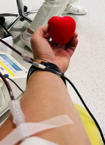 I tobě v žilách koluje naše krev...