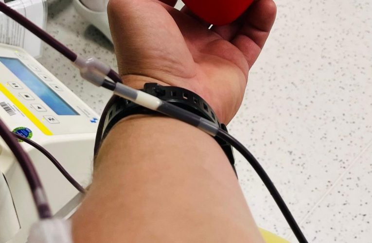 I tobě v žilách koluje naše krev…