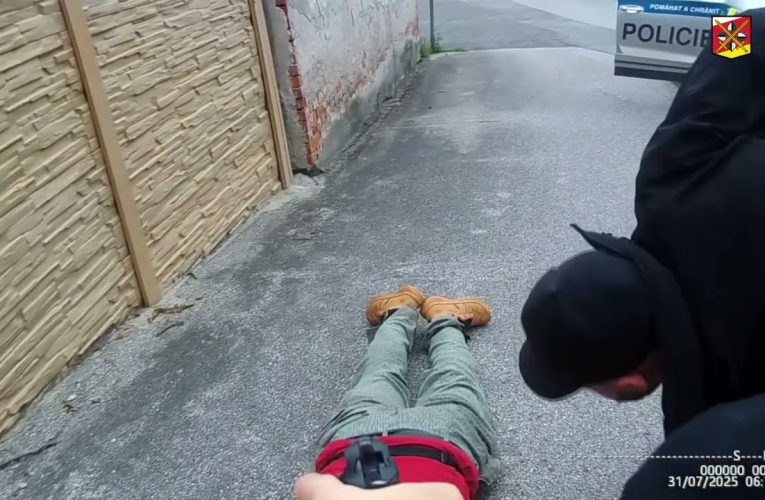 Krádež v přímém přenosu