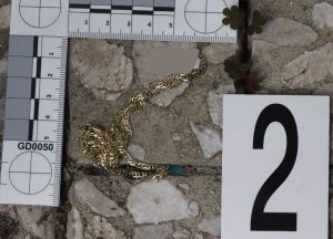 Objasnění loupeže ve zlatnictví v Havířově