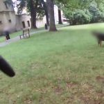 Policista ve svém volnu pomohl zadržet pachatele