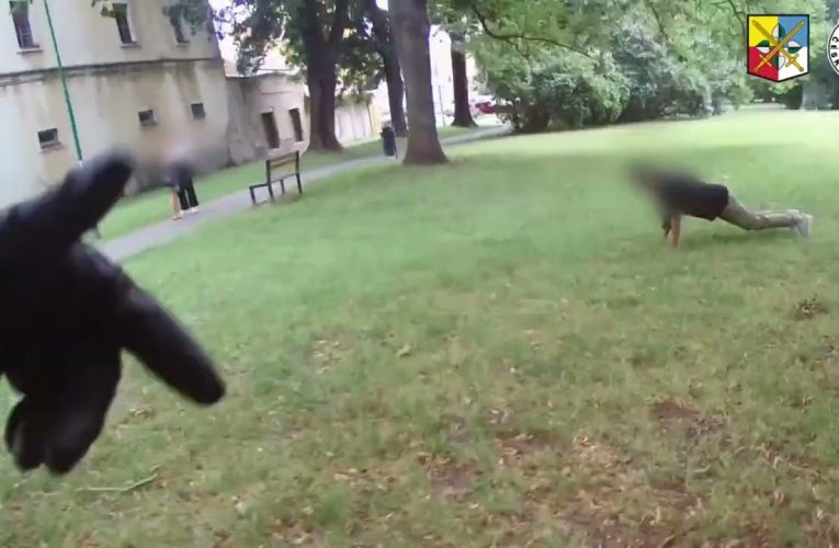 Policista ve svém volnu pomohl zadržet pachatele