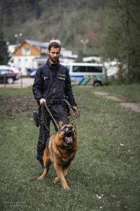 Psovod dopadl podezřelé v Trutnově