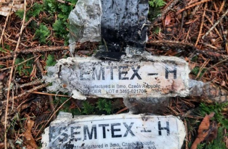 Semtex z plastelíny