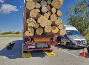 Z činnosti moravskoslezského KAMION – TEAMu