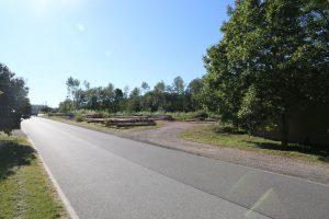 Zmizelo 20 kubíků smrkového dřeva