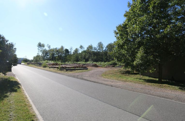 Zmizelo 20 kubíků smrkového dřeva