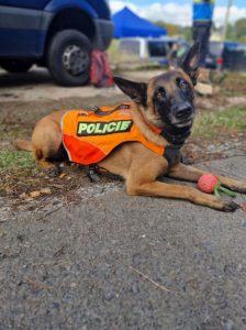 Cvičná pátrací akce v Krušných horách