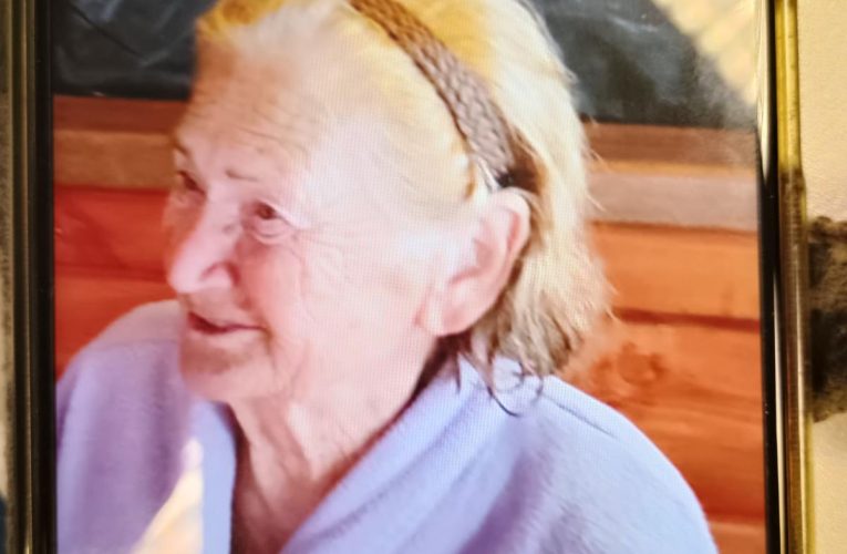 Další ztracený houbař