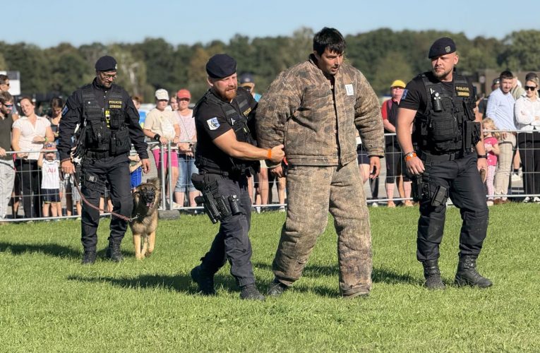 Čeští policisté navštívili dolnoslezské kolegy