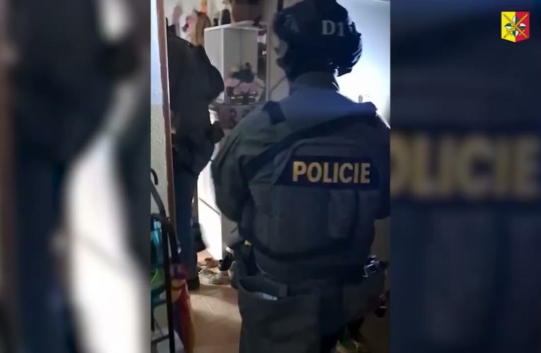 Dopadení gangu zlodějů aut