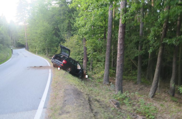 Havárie vozu do stromu