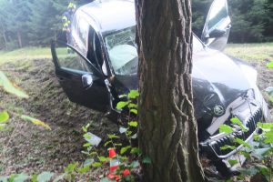 Havárie vozu do stromu