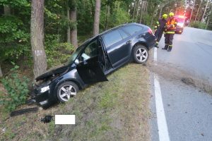 Havárie vozu do stromu