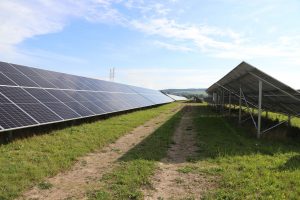 Kdo způsobil škodu za téměř 2 miliony?