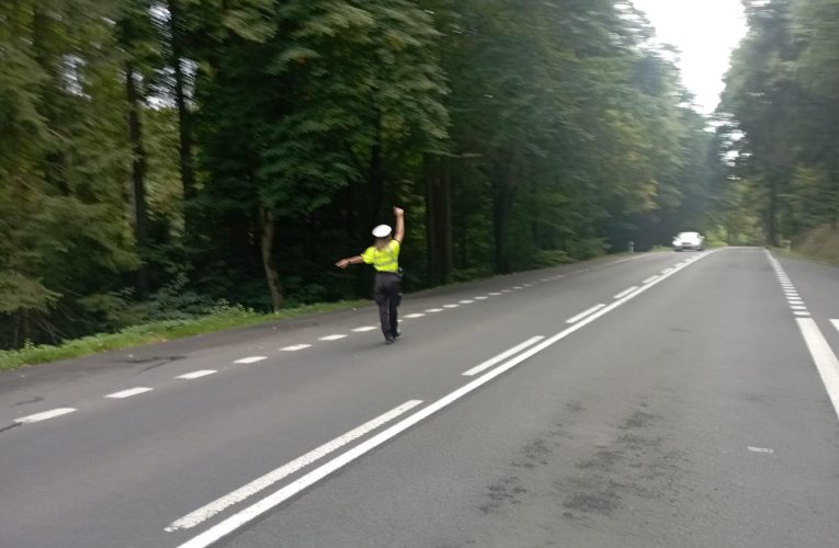 Konec prázdnin = návrat do školních lavic i na silnice!