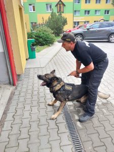 Mezinárodní výcvik pod „taktovkou“ moravskoslezských kynologů a několikanásobného mistra republiky ve sportovní kynologii