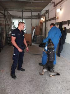 Mezinárodní výcvik pod „taktovkou“ moravskoslezských kynologů a několikanásobného mistra republiky ve sportovní kynologii