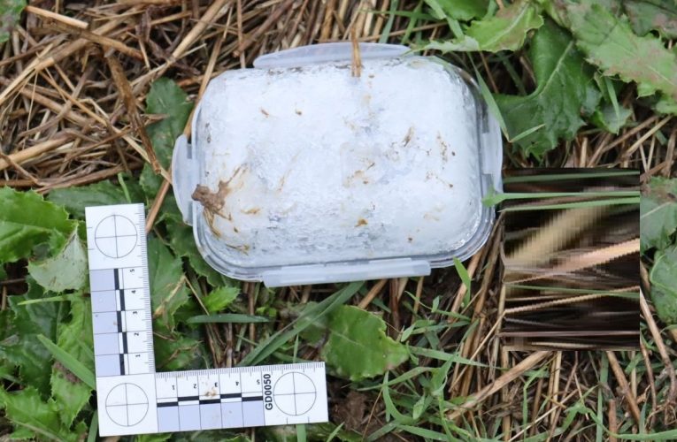 Obviněného muže stíháme vazebně