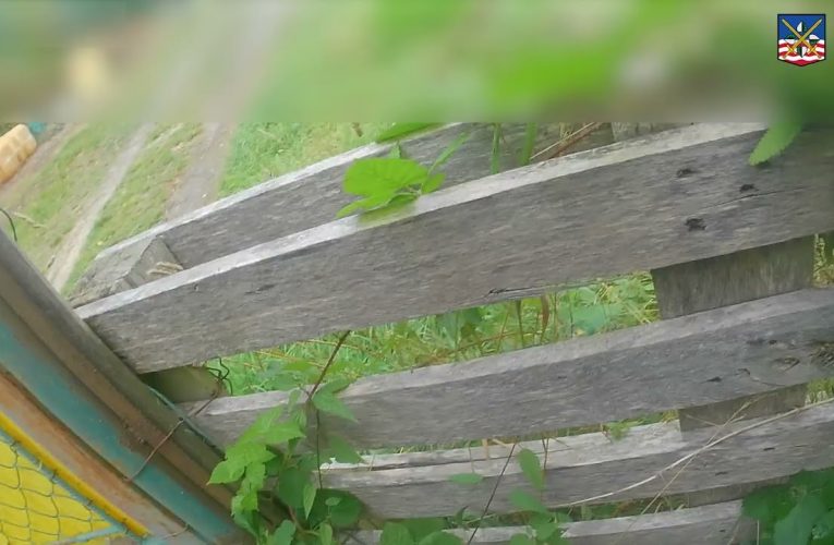 Policisty se pokusil setřást na poli