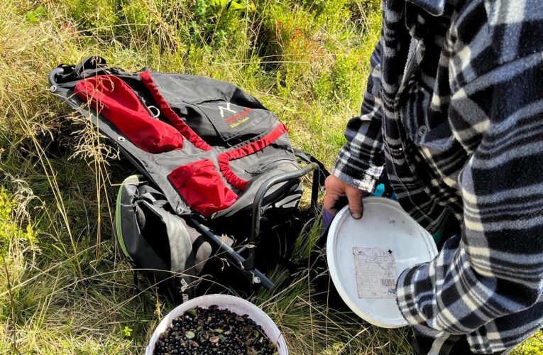 Spolupráce se Správou KRNAP