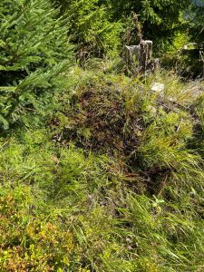 Spolupráce se Správou KRNAP