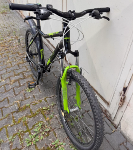 Také keramický vodník byl odcizen