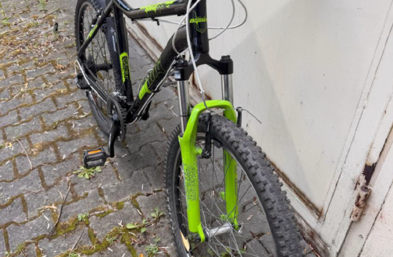 Také keramický vodník byl odcizen