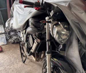 Také keramický vodník byl odcizen