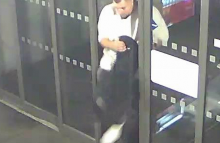 Vykopl výplň dveří