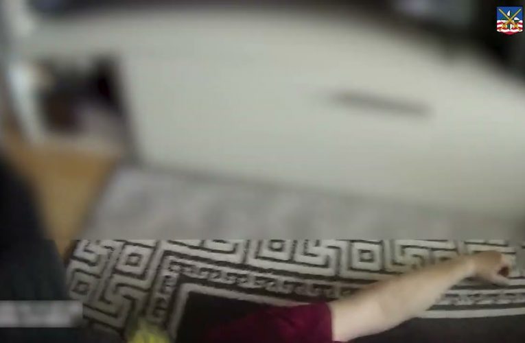 Záchrana života pomocí AED