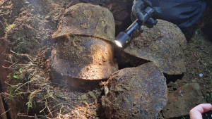 Zásah trval do noci