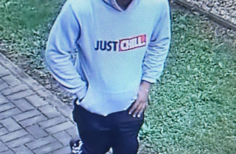 Zlodějská hyena dopadena