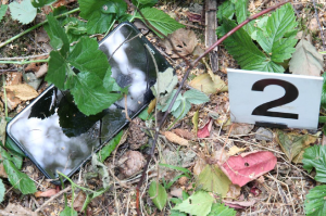 Zřejmě se nepoučil a v trestné činnosti měl dál pokračovat