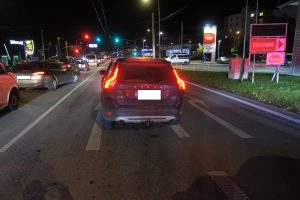 Co je vše možné potkat na silnicích