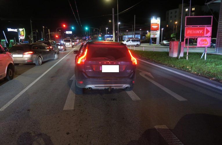 Co je vše možné potkat na silnicích