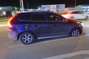 Co je vše možné potkat na silnicích