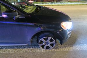 Co je vše možné potkat na silnicích