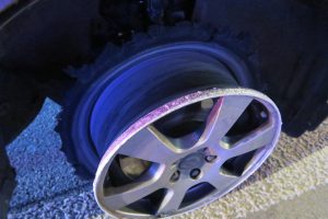 Co je vše možné potkat na silnicích