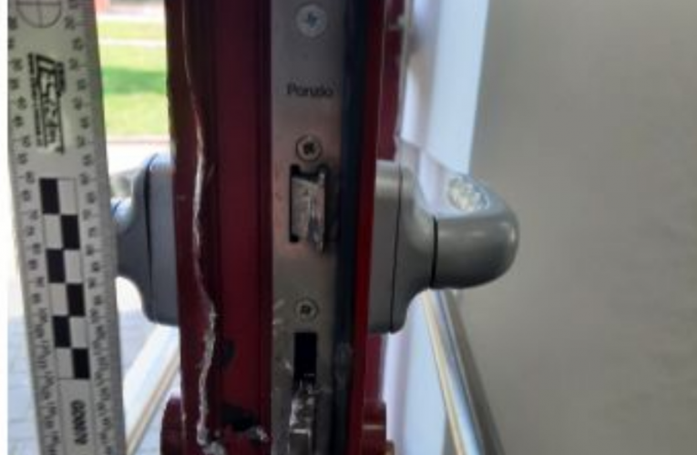 Neoprávněný pobyt a padělání dokladů