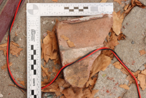 Ještě si neodpykal trest a už mu hrozí další