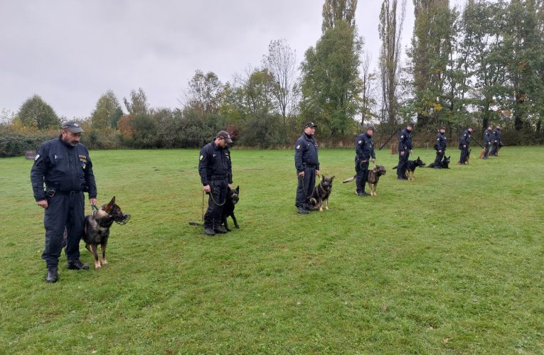 Krajský přebor oddělení kynologie 2025