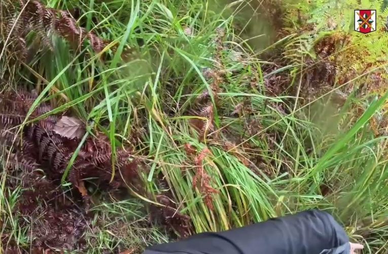 Loupežné přepadení v Děčíně