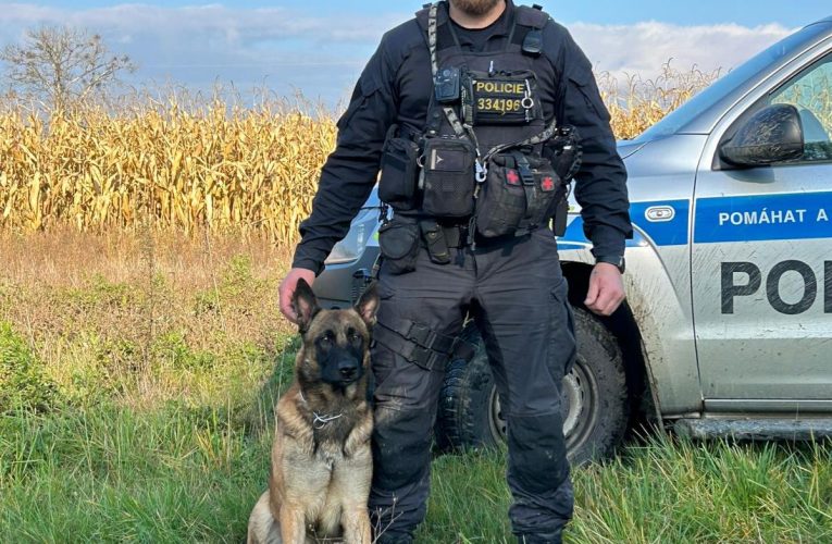 Policejní pes KID zachránil život ztracenému myslivci