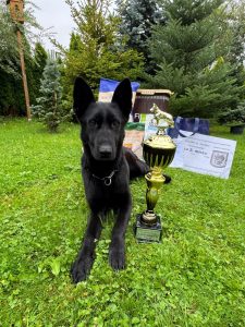 Psovod mjr. Carbol s fenou Qantarou poprvé na mistrovství, vítězství jim uniklo jen o pár bodů